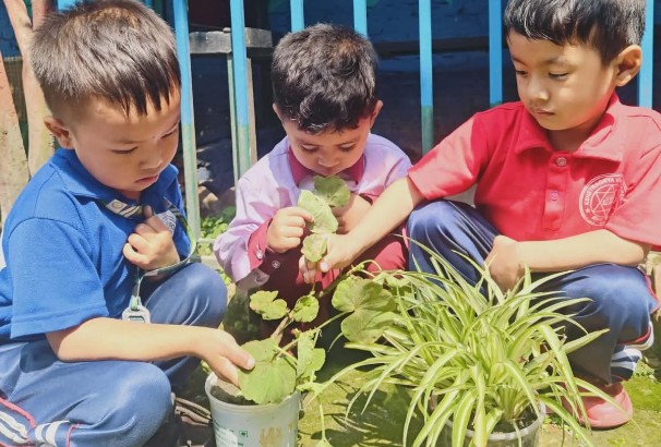 Caring Environment